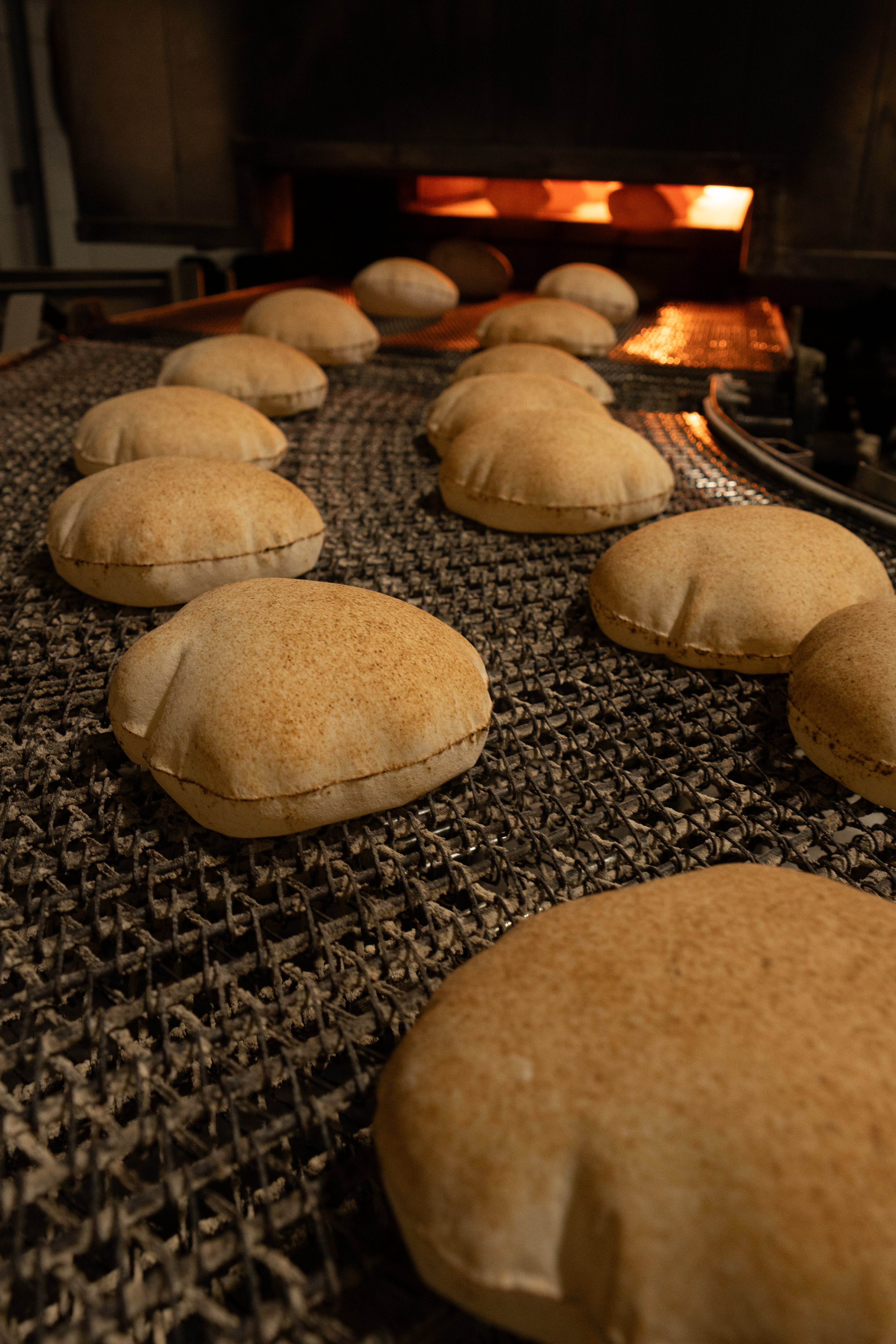 Arabic Bread Large
